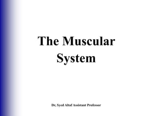 The Muscular
System
Dr, Syed Altaf Assistant Professor
 