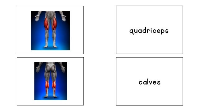 Muscles memory