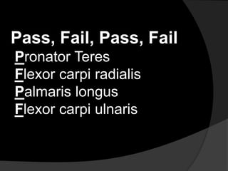 Muscles moving the upper extremities | PPT