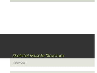 Skeletal Muscle Structure
Video Clip
 
