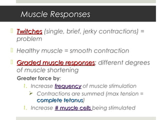 Muscle Responses
 TwitchesTwitches (single, brief, jerky contractions) =
problem
 Healthy muscle = smooth contraction
 Graded muscle responsesGraded muscle responses: different degrees
of muscle shortening
Greater force by:
1. Increase frequencyfrequency of muscle stimulation
 Contractions are summed (max tension =
complete tetanuscomplete tetanus)
1. Increase # muscle cells# muscle cells being stimulated
 