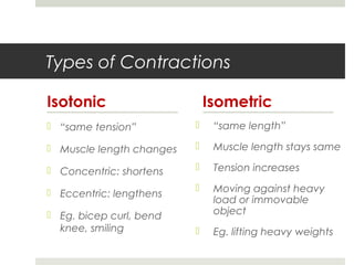Types of Contractions
Isotonic
 “same tension”
 Muscle length changes
 Concentric: shortens
 Eccentric: lengthens
 Eg. bicep curl, bend
knee, smiling
Isometric
 “same length”
 Muscle length stays same
 Tension increases
 Moving against heavy
load or immovable
object
 Eg. lifting heavy weights
 