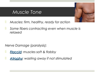 Muscle Tone
 Muscles: firm, healthy, ready for action
 Some fibers contracting even when muscle is
relaxed
Nerve Damage (paralysis):
 FlaccidFlaccid: muscles soft & flabby
 AtrophyAtrophy: wasting away if not stimulated
 