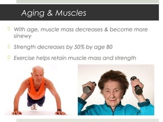Aging & Muscles
 With age, muscle mass decreases & become more
sinewy
 Strength decreases by 50% by age 80
 Exercise helps retain muscle mass and strength
 