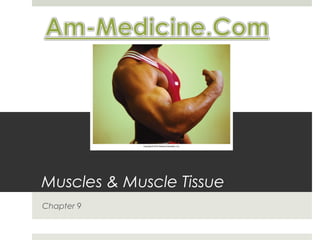 Muscles & Muscle Tissue
Chapter 9
 