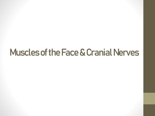 MusclesoftheFace&CranialNerves
 