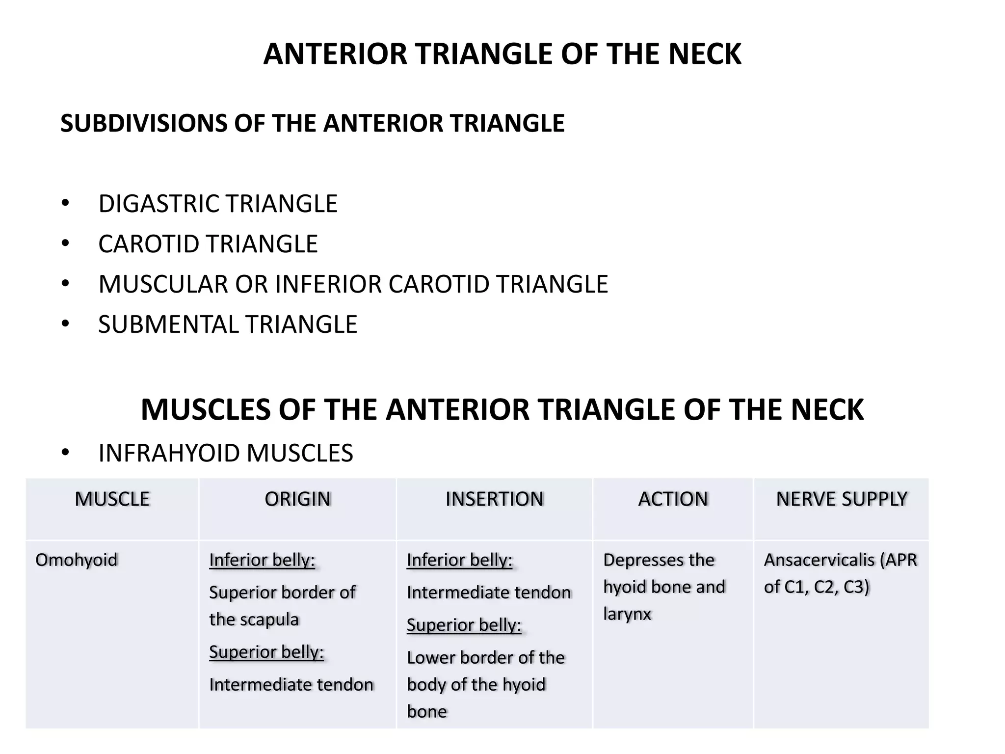 ANTERIOR TRIANGLE OF THE NECK
SUBDIVISIONS OF THE ANTERIOR TRIANGLE
• DIGASTRIC TRIANGLE
• CAROTID TRIANGLE
• MUSCULAR OR INFERIOR CAROTID TRIANGLE
• SUBMENTAL TRIANGLE
MUSCLES OF THE ANTERIOR TRIANGLE OF THE NECK
• INFRAHYOID MUSCLES
MUSCLE ORIGIN INSERTION ACTION NERVE SUPPLY
Omohyoid Inferior belly:
Superior border of
the scapula
Superior belly:
Intermediate tendon
Inferior belly:
Intermediate tendon
Superior belly:
Lower border of the
body of the hyoid
bone
Depresses the
hyoid bone and
larynx
Ansacervicalis (APR
of C1, C2, C3)
 