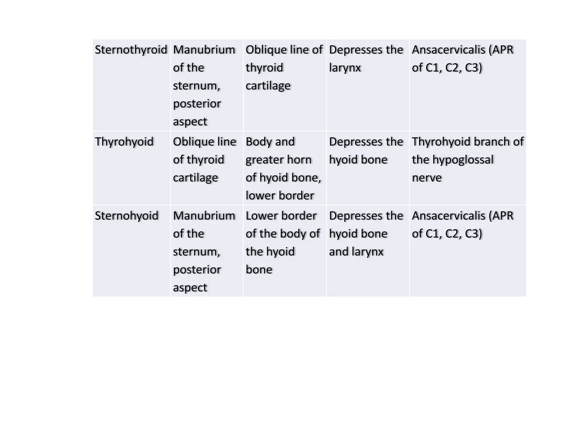 Sternothyroid Manubrium
of the
sternum,
posterior
aspect
Oblique line of
thyroid
cartilage
Depresses the
larynx
Ansacervicalis (APR
of C1, C2, C3)
Thyrohyoid Oblique line
of thyroid
cartilage
Body and
greater horn
of hyoid bone,
lower border
Depresses the
hyoid bone
Thyrohyoid branch of
the hypoglossal
nerve
Sternohyoid Manubrium
of the
sternum,
posterior
aspect
Lower border
of the body of
the hyoid
bone
Depresses the
hyoid bone
and larynx
Ansacervicalis (APR
of C1, C2, C3)
 
