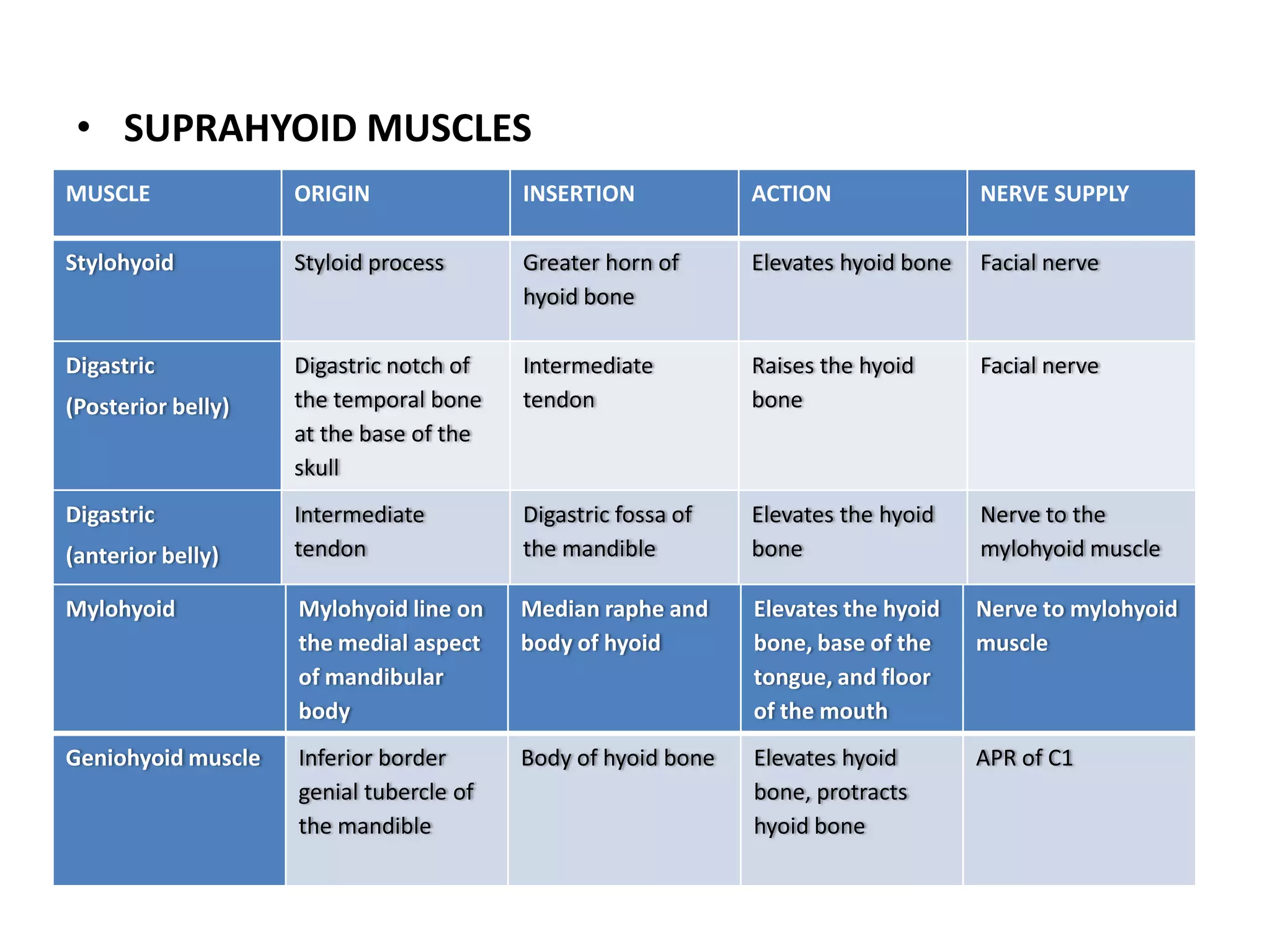 • SUPRAHYOID MUSCLES
MUSCLE ORIGIN INSERTION ACTION NERVE SUPPLY
Stylohyoid Styloid process Greater horn of
hyoid bone
Elevates hyoid bone Facial nerve
Digastric
(Posterior belly)
Digastric notch of
the temporal bone
at the base of the
skull
Intermediate
tendon
Raises the hyoid
bone
Facial nerve
Digastric
(anterior belly)
Intermediate
tendon
Digastric fossa of
the mandible
Elevates the hyoid
bone
Nerve to the
mylohyoid muscle
Mylohyoid Mylohyoid line on
the medial aspect
of mandibular
body
Median raphe and
body of hyoid
Elevates the hyoid
bone, base of the
tongue, and floor
of the mouth
Nerve to mylohyoid
muscle
Geniohyoid muscle Inferior border
genial tubercle of
the mandible
Body of hyoid bone Elevates hyoid
bone, protracts
hyoid bone
APR of C1
 