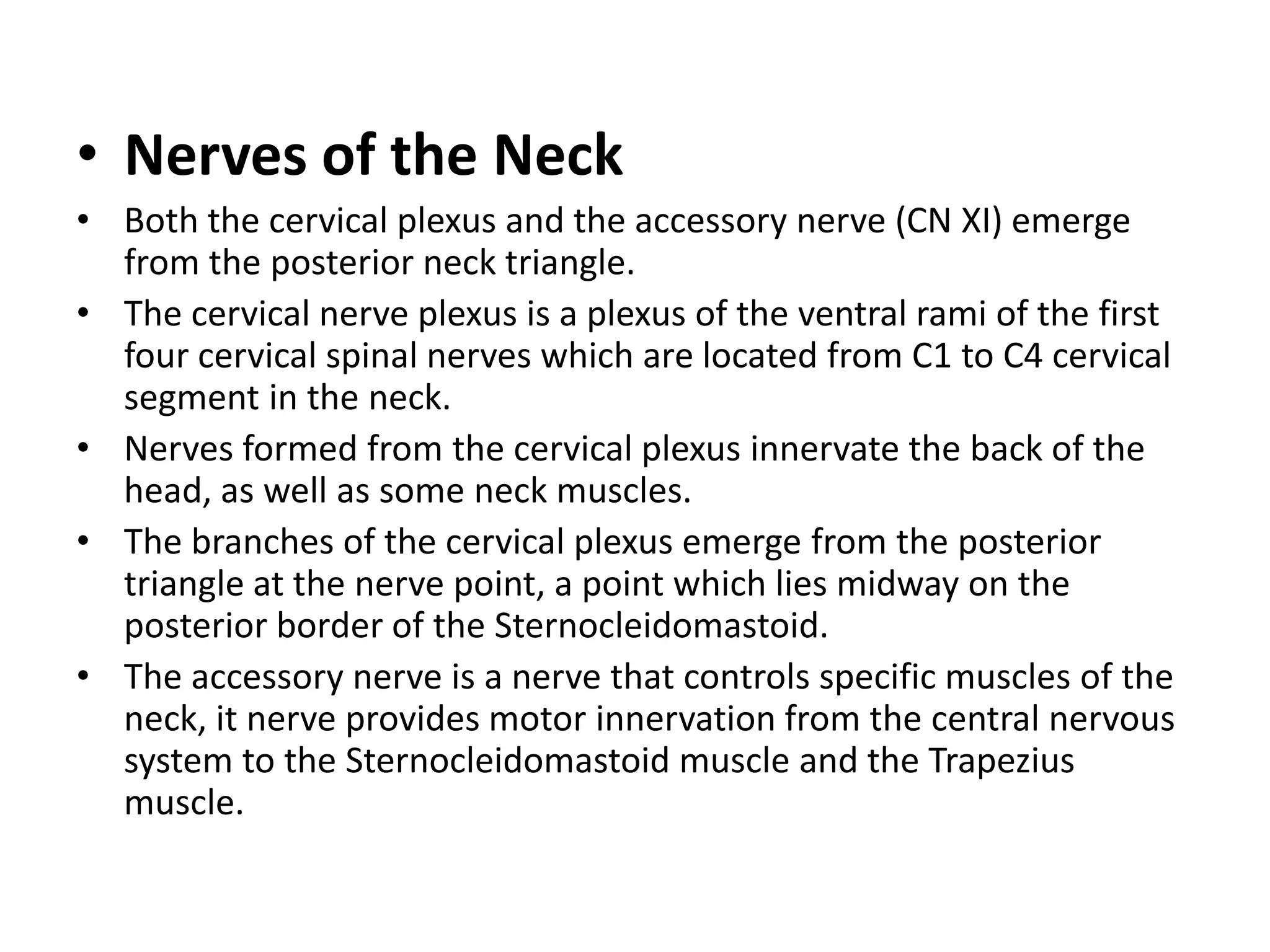 • Nerves of the Neck
• Both the cervical plexus and the accessory nerve (CN XI) emerge
from the posterior neck triangle.
• The cervical nerve plexus is a plexus of the ventral rami of the first
four cervical spinal nerves which are located from C1 to C4 cervical
segment in the neck.
• Nerves formed from the cervical plexus innervate the back of the
head, as well as some neck muscles.
• The branches of the cervical plexus emerge from the posterior
triangle at the nerve point, a point which lies midway on the
posterior border of the Sternocleidomastoid.
• The accessory nerve is a nerve that controls specific muscles of the
neck, it nerve provides motor innervation from the central nervous
system to the Sternocleidomastoid muscle and the Trapezius
muscle.
 