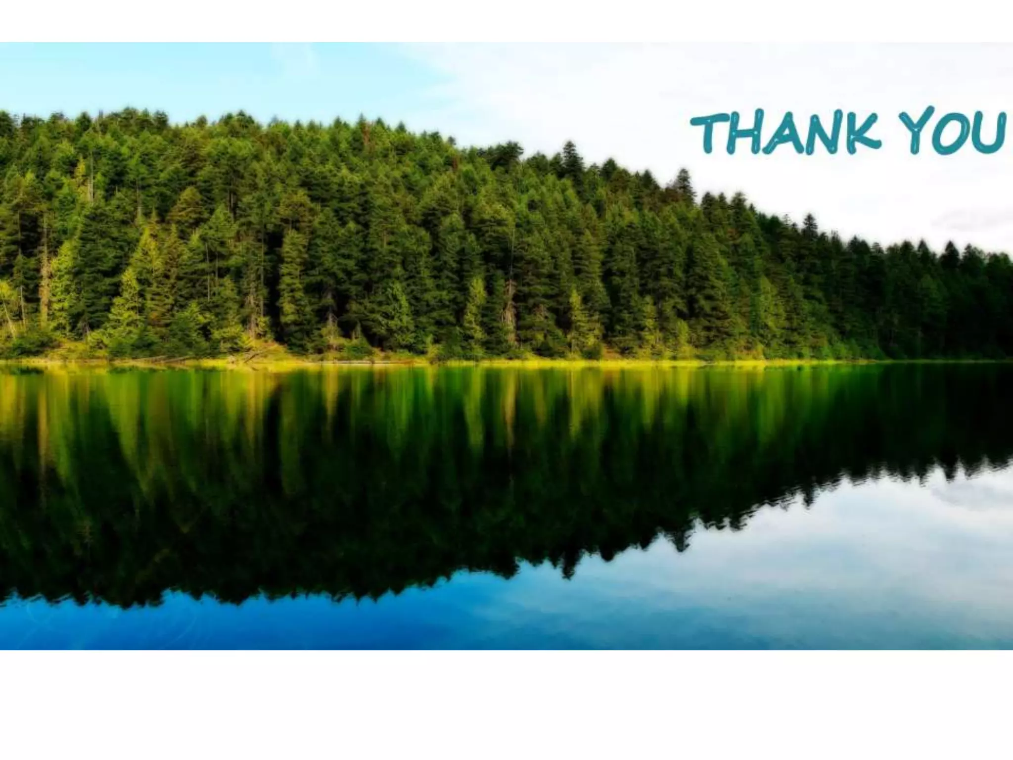 Muscles of face neck and tongue