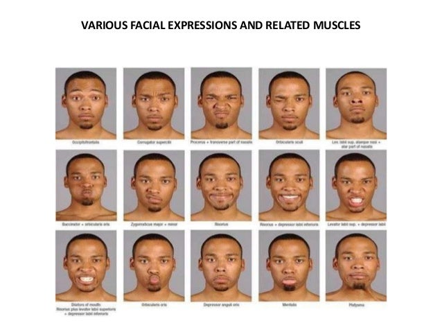 Facial Expression Exercises 99