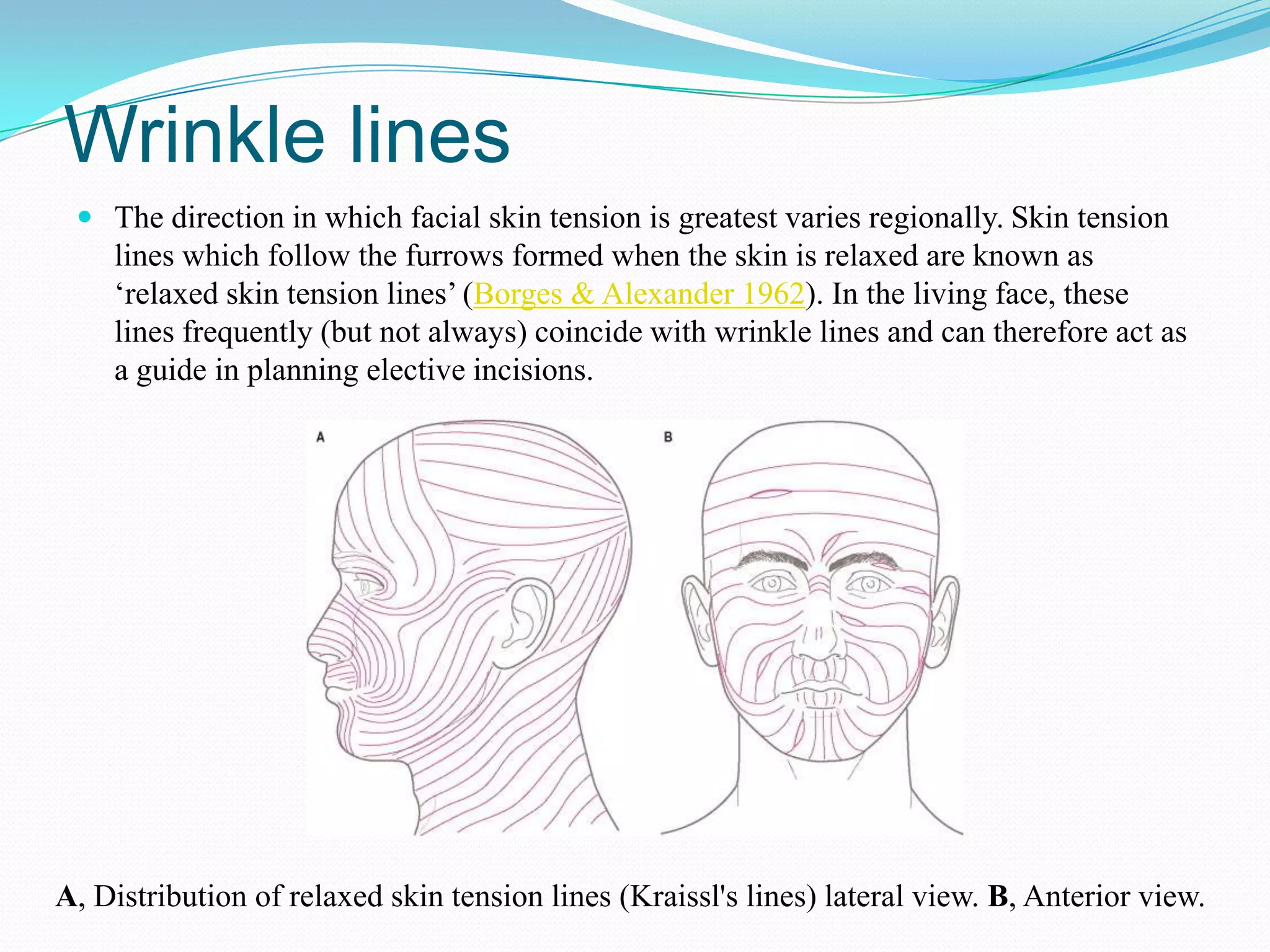 Muscles of facial expression | PPTX