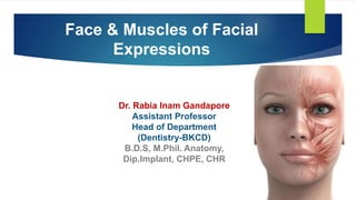 Face & Muscles of Facial
Expressions
Dr. Rabia Inam Gandapore
Assistant Professor
Head of Department
(Dentistry-BKCD)
B.D.S, M.Phil. Anatomy,
Dip.Implant, CHPE, CHR
 