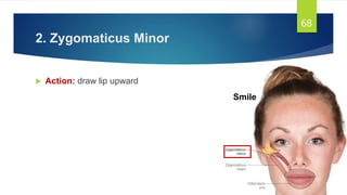 Structure Involved In Smiling Face and Muscles of facial expression.pptx