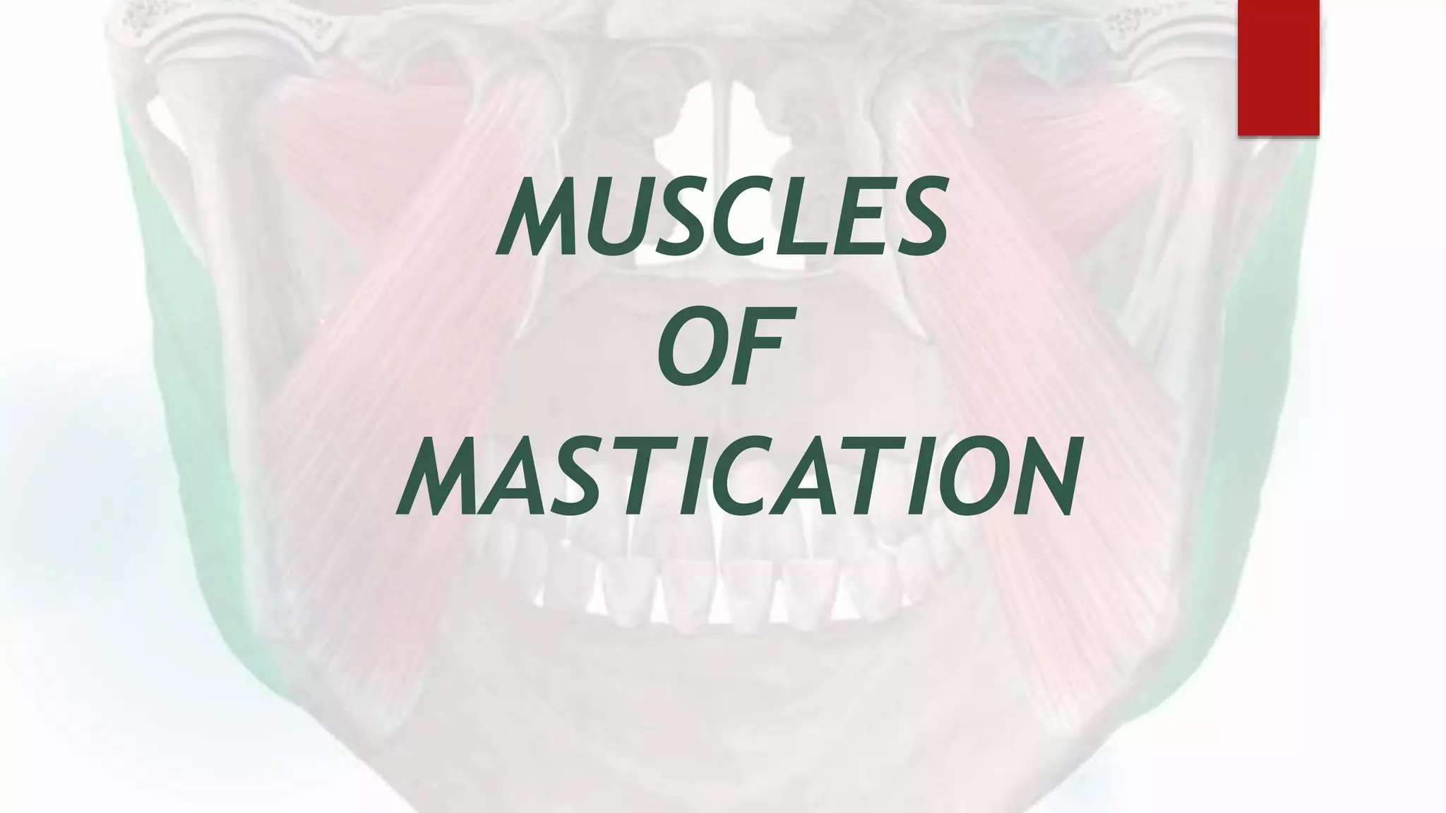 MUSCLES
OF
MASTICATION
 