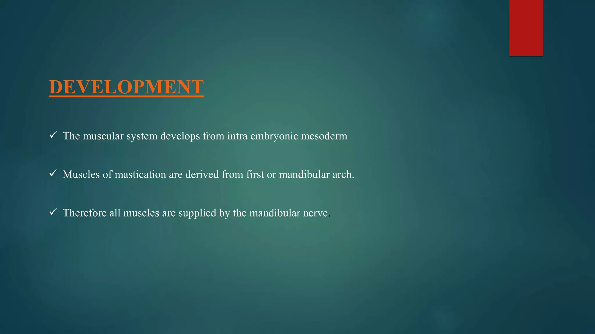 DEVELOPMENT
 The muscular system develops from intra embryonic mesoderm
 Muscles of mastication are derived from first or mandibular arch.
 Therefore all muscles are supplied by the mandibular nerve.
 