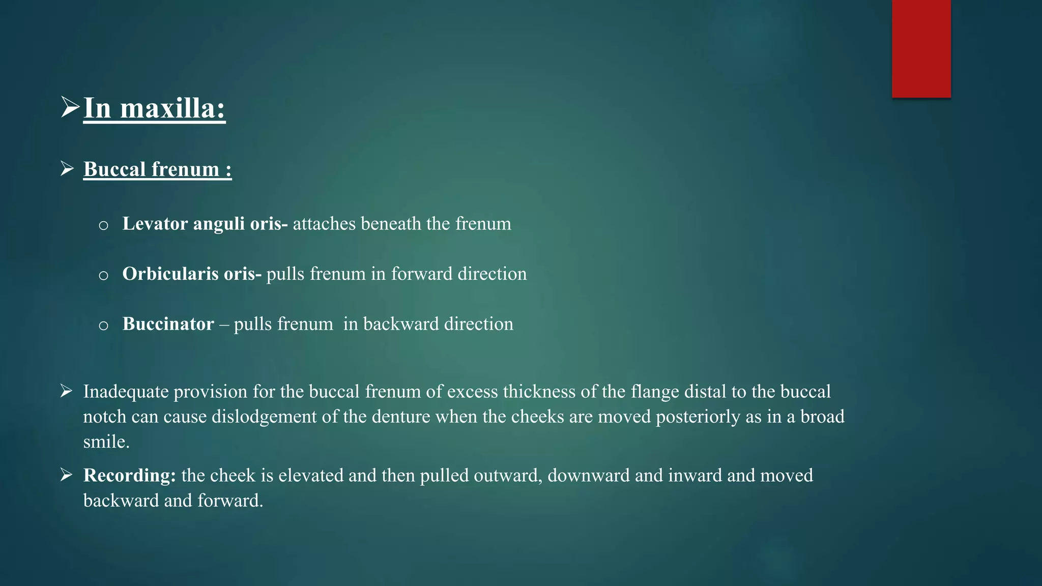 In maxilla:
 Buccal frenum :
o Levator anguli oris- attaches beneath the frenum
o Orbicularis oris- pulls frenum in forward direction
o Buccinator – pulls frenum in backward direction
 Inadequate provision for the buccal frenum of excess thickness of the flange distal to the buccal
notch can cause dislodgement of the denture when the cheeks are moved posteriorly as in a broad
smile.
 Recording: the cheek is elevated and then pulled outward, downward and inward and moved
backward and forward.
 