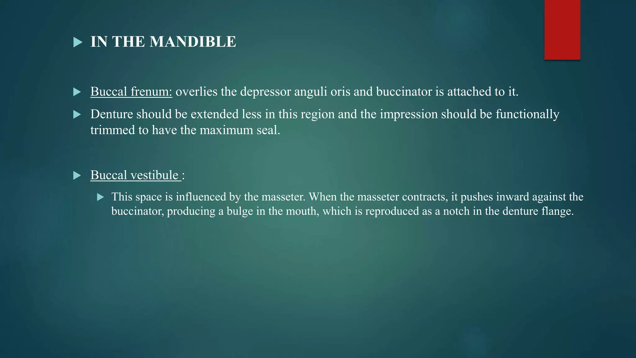  IN THE MANDIBLE
 Buccal frenum: overlies the depressor anguli oris and buccinator is attached to it.
 Denture should be extended less in this region and the impression should be functionally
trimmed to have the maximum seal.
 Buccal vestibule :
 This space is influenced by the masseter. When the masseter contracts, it pushes inward against the
buccinator, producing a bulge in the mouth, which is reproduced as a notch in the denture flange.
 