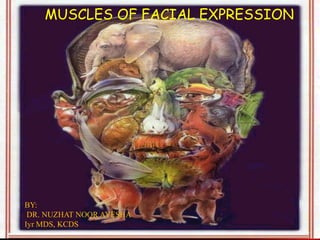 MUSCLES OF FACIAL EXPRESSION
BY:
DR. NUZHAT NOOR AYESHA
Iyr MDS, KCDS
 