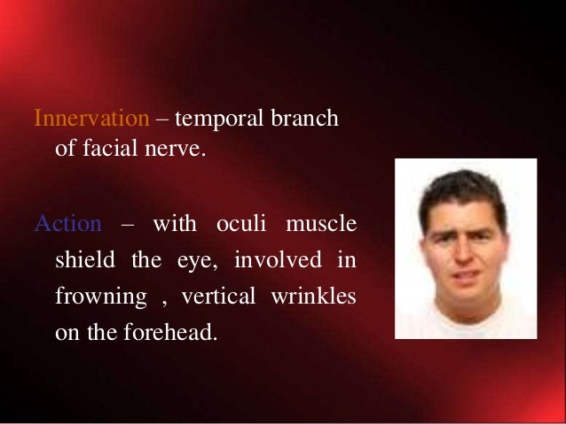 Muscles of facial expressions