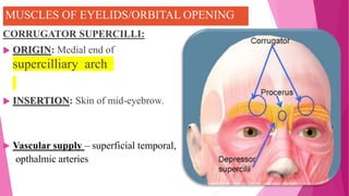 Muscles of facial expressions | PPTX