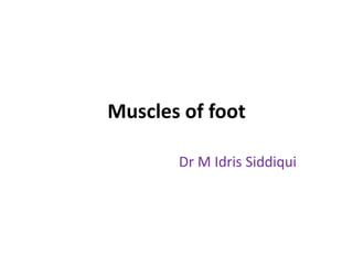 Muscles of foot
Dr M Idris Siddiqui
 