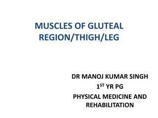MUSCLES OF GLUTEAL
REGION/THIGH/LEG
DR MANOJ KUMAR SINGH
1ST YR PG
PHYSICAL MEDICINE AND
REHABILITATION
 