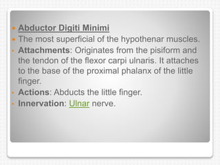 MUSCLES OF HAND.pptx