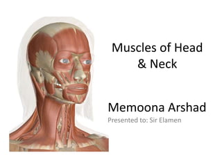 Muscles of Head
& Neck
Memoona Arshad
Presented to: Sir Elamen
 