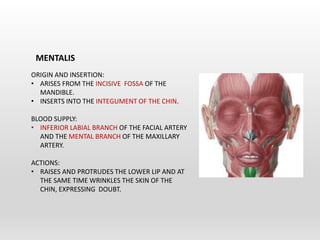 Intercheilion Line Muscles of Head & Neck | PPTX