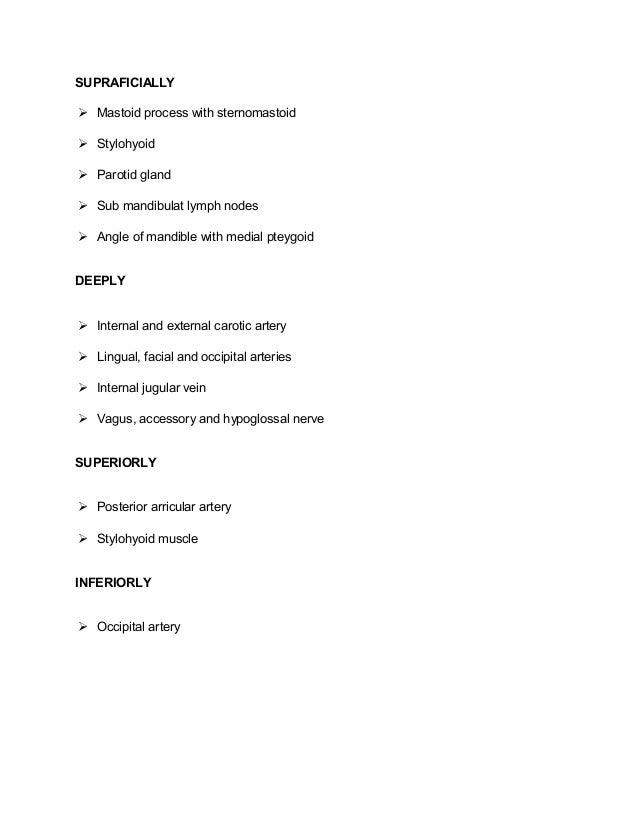 Muscles Of Mastication