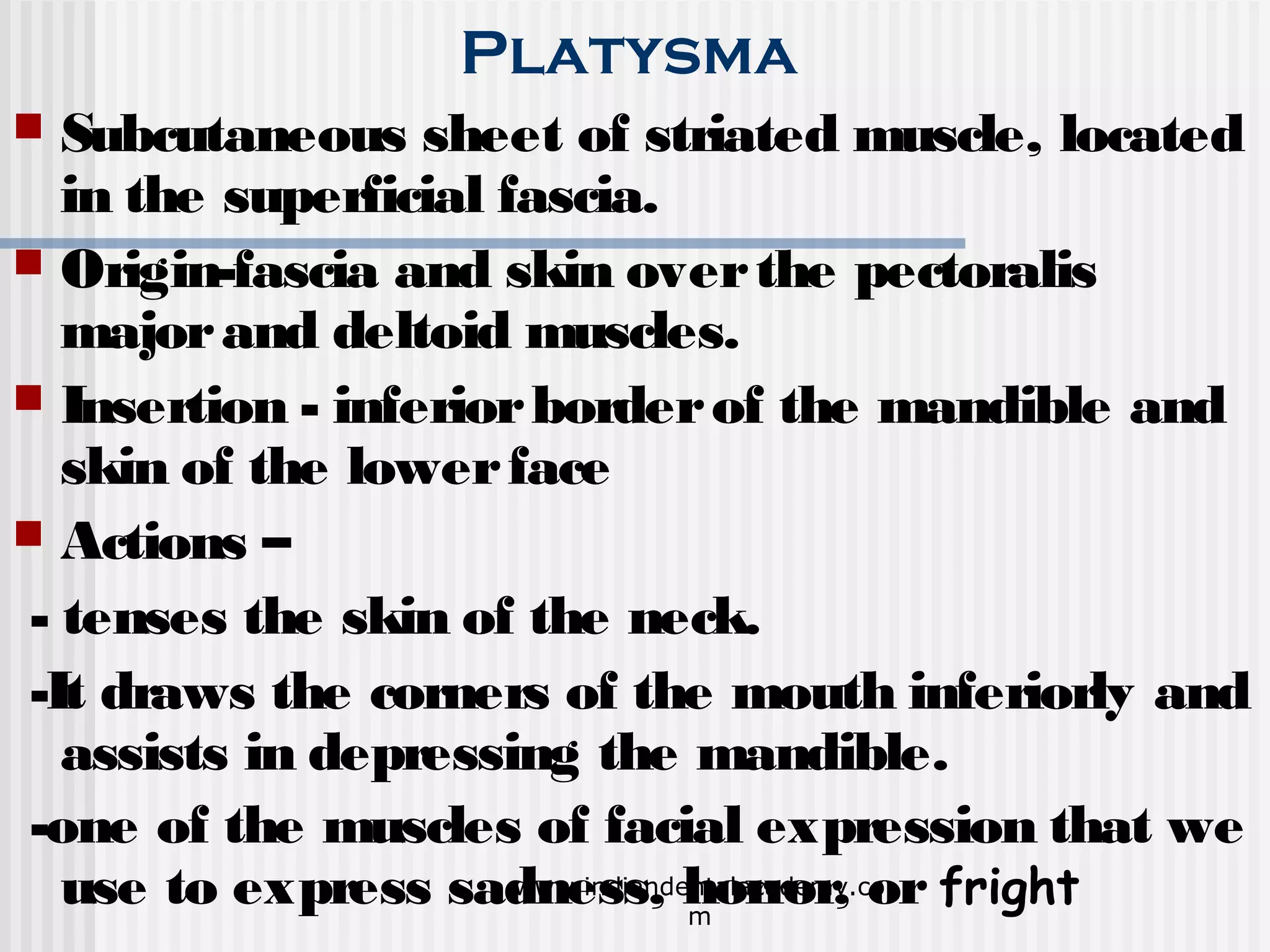 Muscles of mastication/ orthodontics courses in india PPT