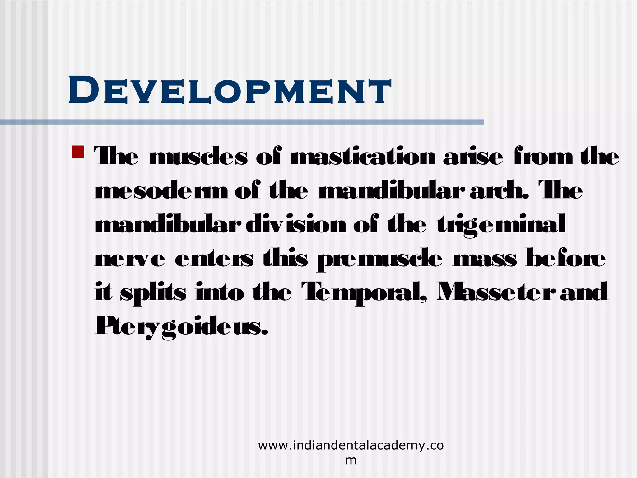 Muscles of mastication/ orthodontics courses in india PPT