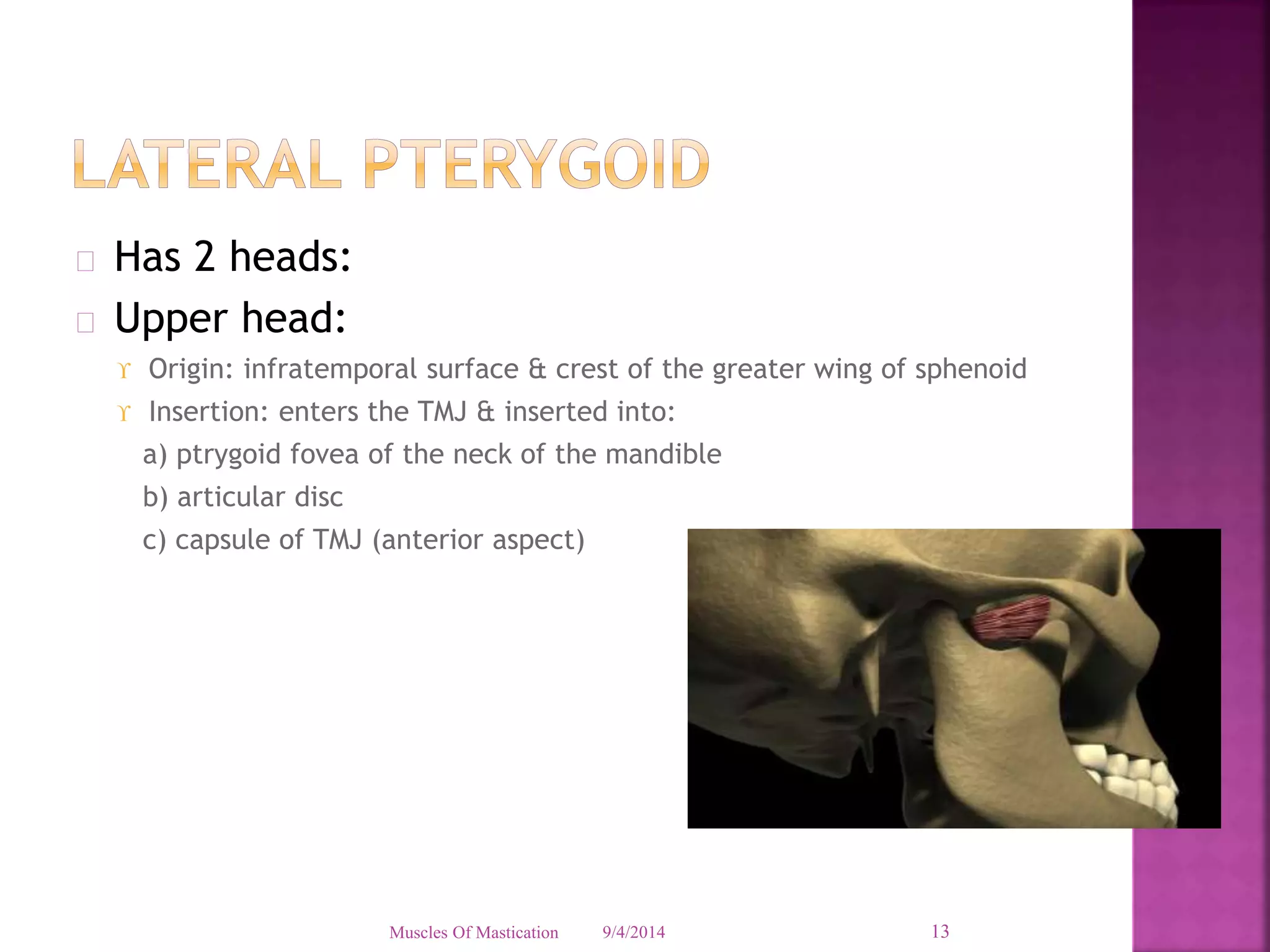  Has 2 heads: 
 Upper head: 
 Origin: infratemporal surface & crest of the greater wing of sphenoid 
 Insertion: enters the TMJ & inserted into: 
a) ptrygoid fovea of the neck of the mandible 
b) articular disc 
c) capsule of TMJ (anterior aspect) 
Muscles Of Mastication 9/4/2014 13 
 