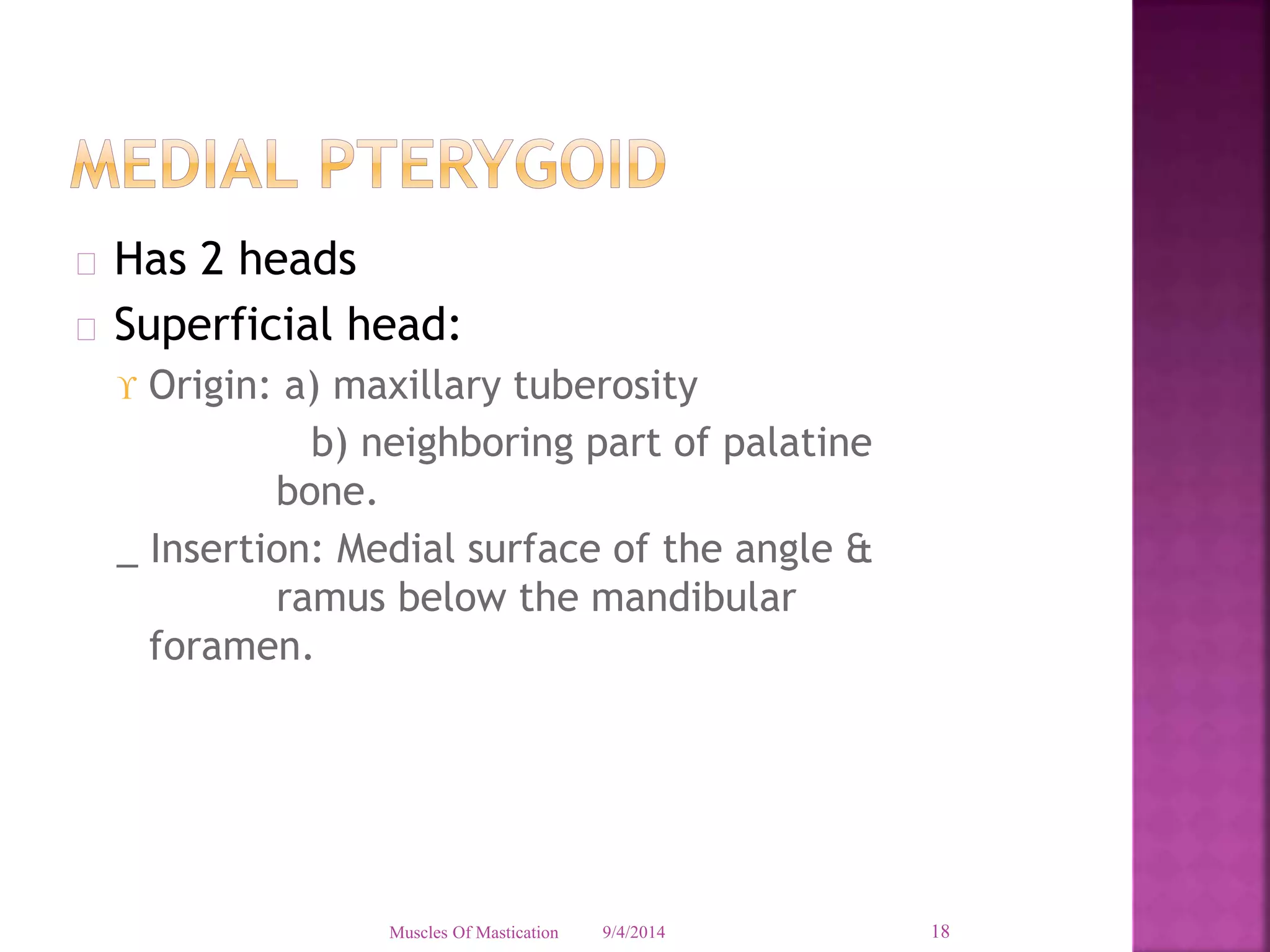  Has 2 heads 
 Superficial head: 
 Origin: a) maxillary tuberosity 
b) neighboring part of palatine 
bone. 
_ Insertion: Medial surface of the angle & 
ramus below the mandibular 
foramen. 
Muscles Of Mastication 9/4/2014 18 
 