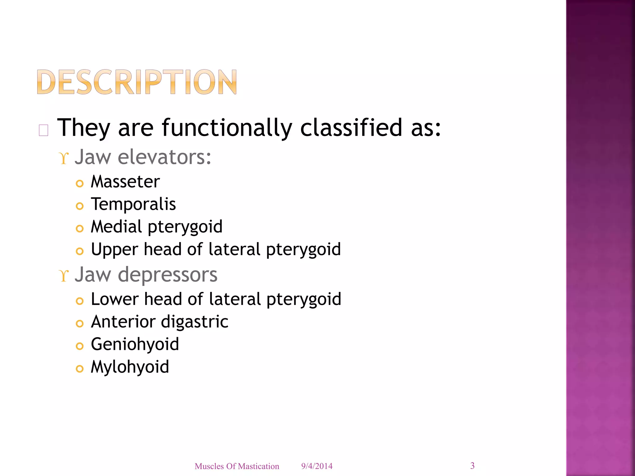  They are functionally classified as: 
 Jaw elevators: 
 Masseter 
 Temporalis 
 Medial pterygoid 
 Upper head of lateral pterygoid 
 Jaw depressors 
 Lower head of lateral pterygoid 
 Anterior digastric 
 Geniohyoid 
 Mylohyoid 
Muscles Of Mastication 9/4/2014 3 
 
