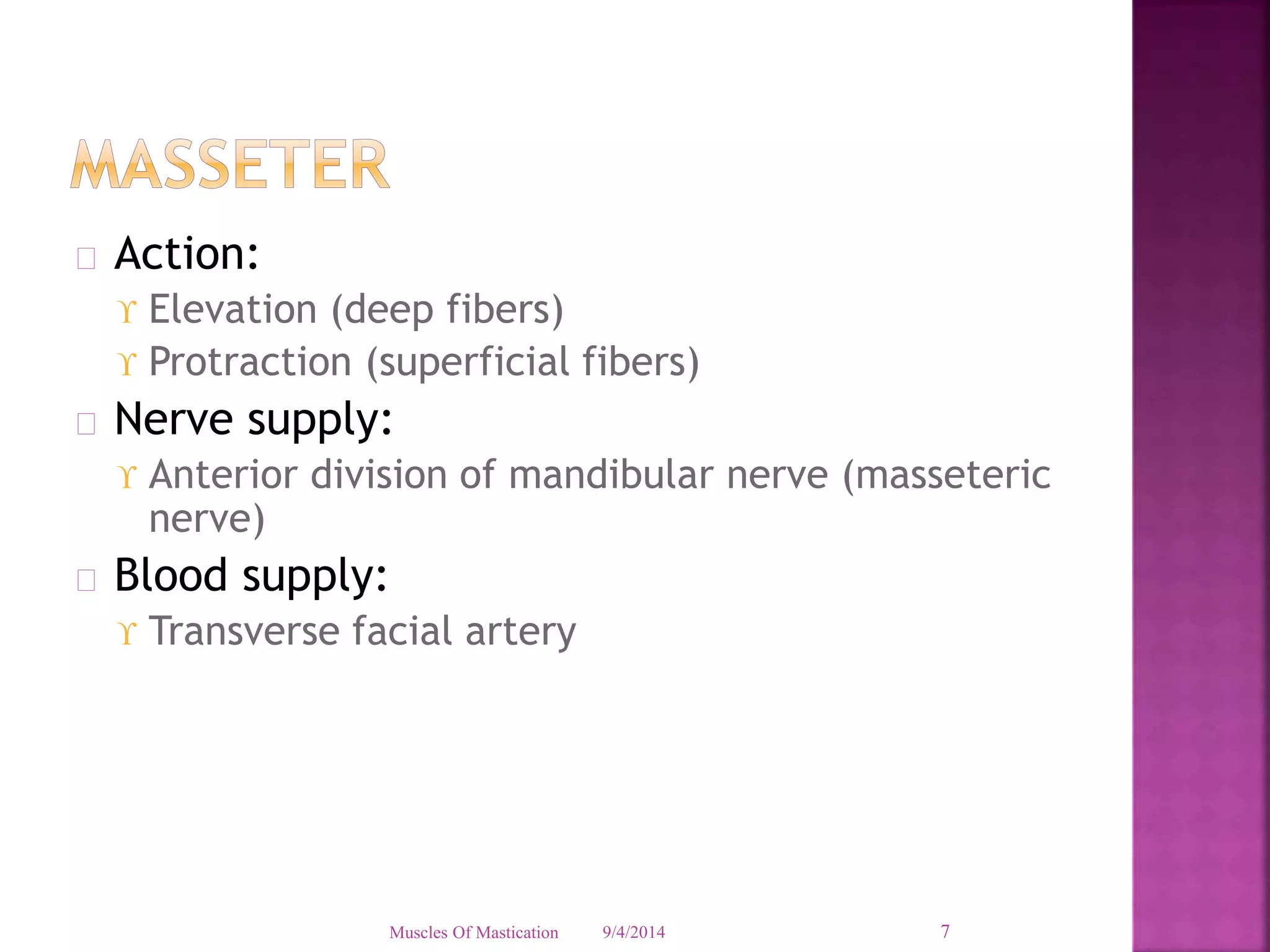  Action: 
 Elevation (deep fibers) 
 Protraction (superficial fibers) 
 Nerve supply: 
 Anterior division of mandibular nerve (masseteric 
nerve) 
 Blood supply: 
 Transverse facial artery 
Muscles Of Mastication 9/4/2014 7 
 