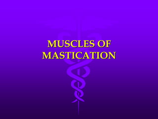 MUSCLES OF
MASTICATION
 