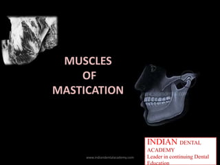 MUSCLES
OF
MASTICATION
INDIAN DENTAL
ACADEMY
Leader in continuing Dental
Education
www.indiandentalacademy.com
 