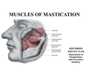 MUSCLES OF MASTICATION
KHUSHBOO
MDS IST YEAR
Department of
Paedodontics
and Preventive
dentistry
 