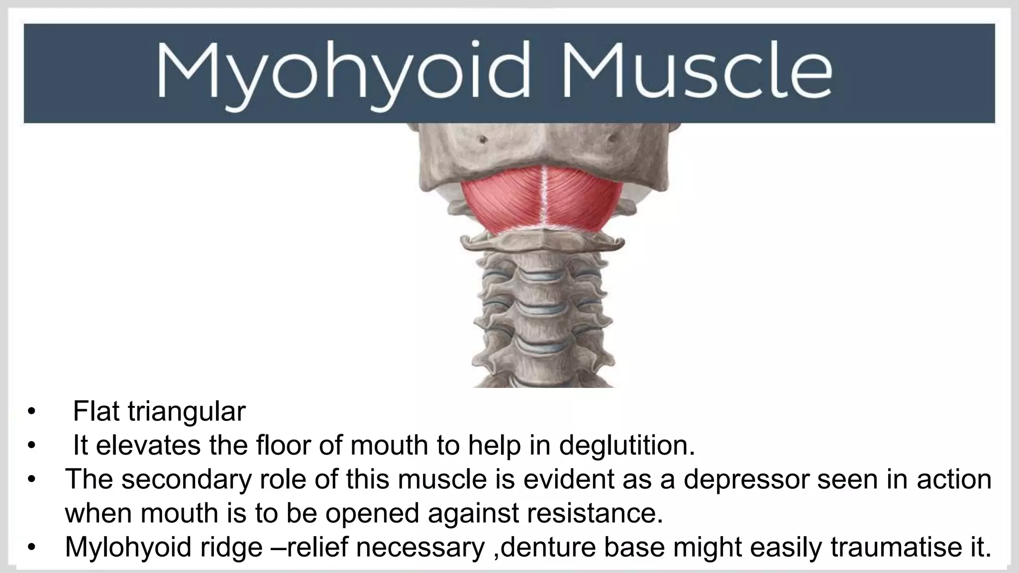 Muscles of mastication | PPTX