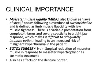 Muscles of mastication | PPTX