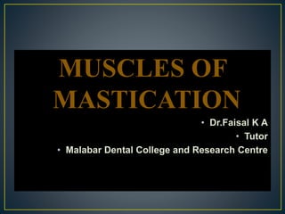 MUSCLES OF
MASTICATION
• Dr.Faisal K A
• Tutor
• Malabar Dental College and Research Centre
 