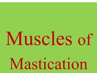 Muscles of
Mastication
 