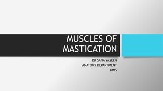 MUSCLES OF
MASTICATION
DR SANA YASEEN
ANATOMY DEPARTMENT
KIMS
 