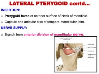 LATERAL PTERYGOID contd…
INSERTION:
o Pterygoid fovea at anterior surface of Neck of mandible.
o Capsule and articular disc of temporo-mandibular joint.
NERVE SUPPLY:
o Branch from anterior division of mandibular nerve.
 