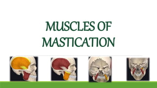 Muscles of mastication | PPTX