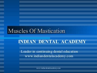 Muscles Of Mastication
INDIAN DENTAL ACADEMY
Leader in continuing dental education
www.indiandentalacademy.com
www.indiandentalacademy.com

 