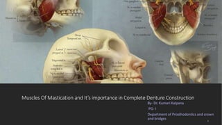 Muscles Of Mastication and It’s importance in Complete Denture Construction
By- Dr. Kumari Kalpana
PG- I
Department of Prosthodontics and crown
and bridges 1
 